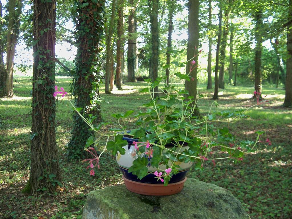 Bed and Breakfast Le Pre Karvain Couddes Zewnętrze zdjęcie